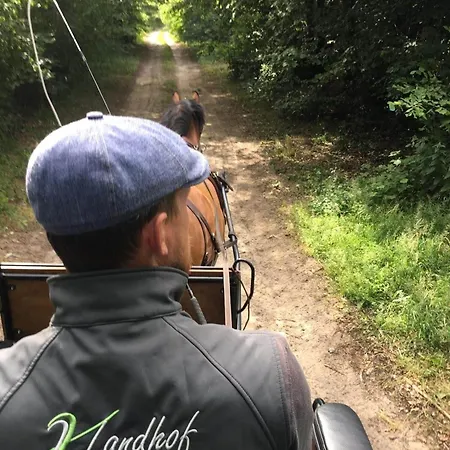 Дом отдыха Landhof Kuetzin Spatz 1 Vellahn